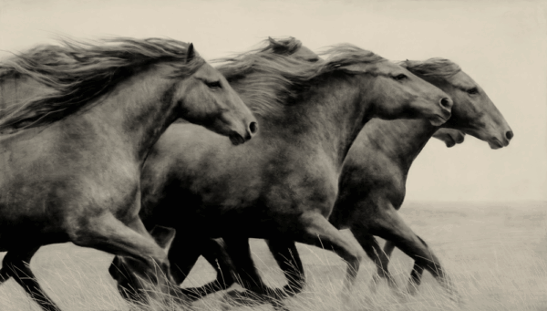 Lead the Way - Sepia - Craft Art Prints